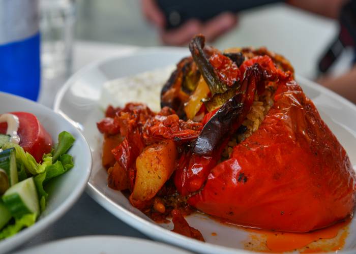 gemista Phuong D. Nguyen shutterstock copy