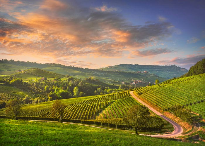 Piedmont wine region