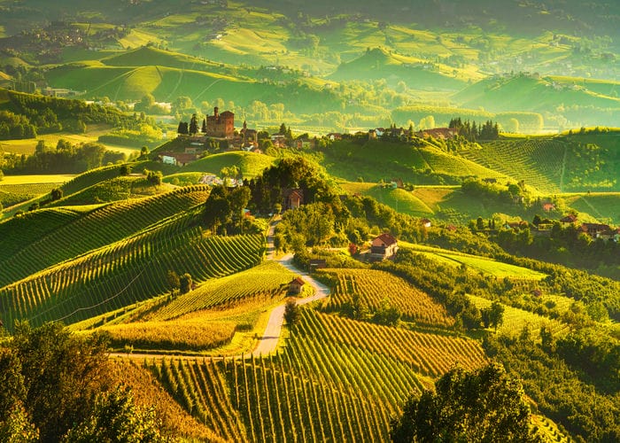 langhe vineyards