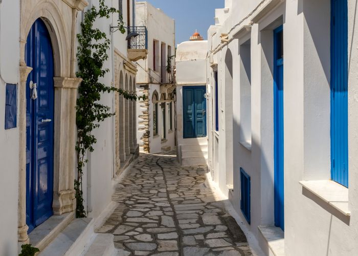 tinos Paul Shark shutterstock